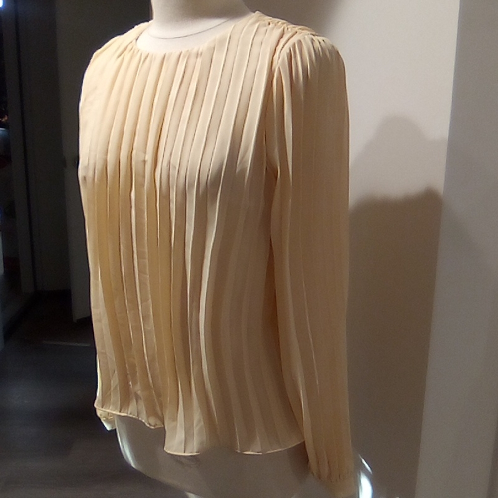 Accordion Pleated Loose Flow Pheasant Style Blouse